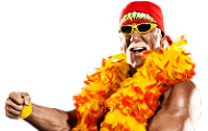 *Hulk Hogan6_m*
